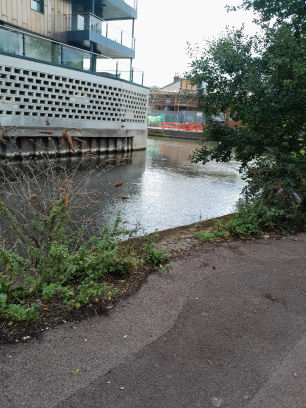 River Kennet in Reading